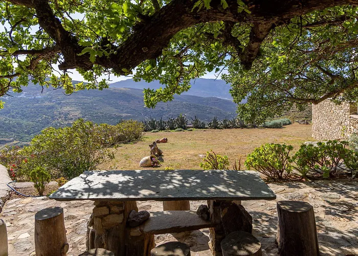 Astrokaktos * Σκαλάδος