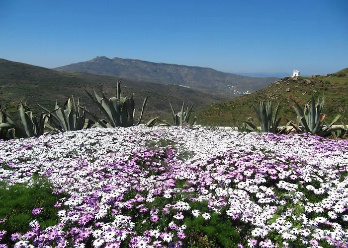 Astrokaktos Σκαλάδος