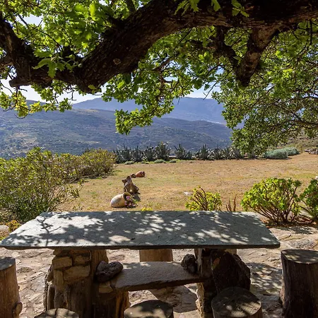 Astrokaktos * Skaládhos